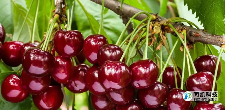 5fedc6e5a4114.jpg 04.jpg