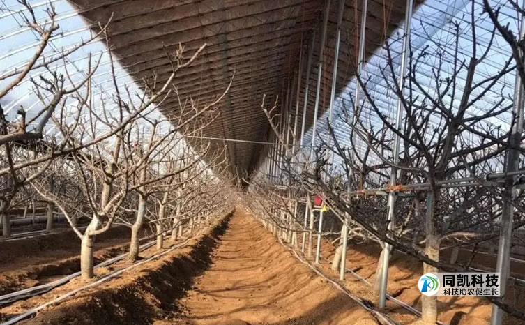 5fedc6edb685e.jpg 05.jpg