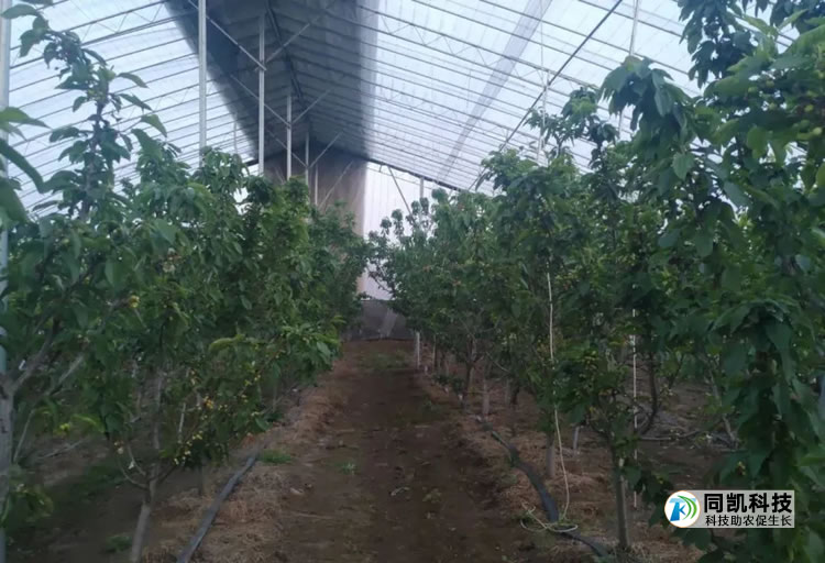 5fedc736cfa05.jpg 06.jpg